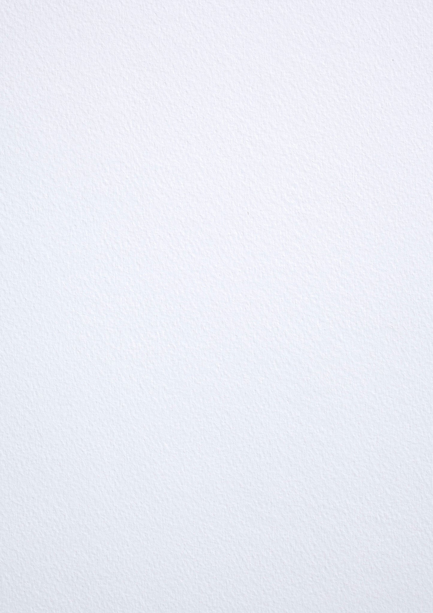 D-19: Tintoretto Gesso