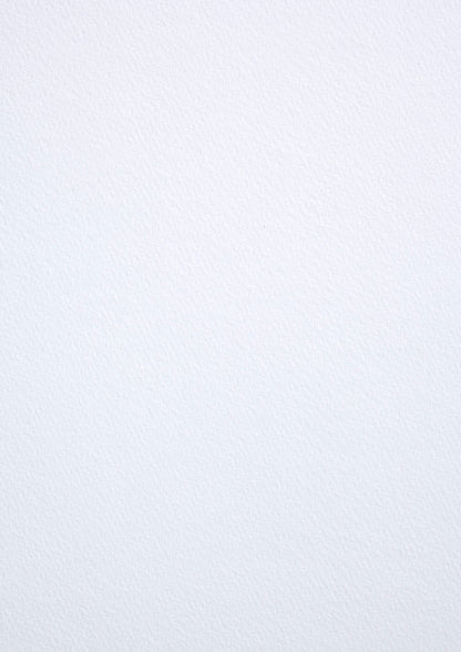 D-19: Tintoretto Gesso